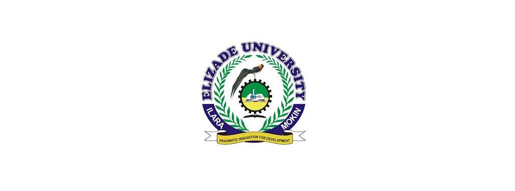 Elizade University